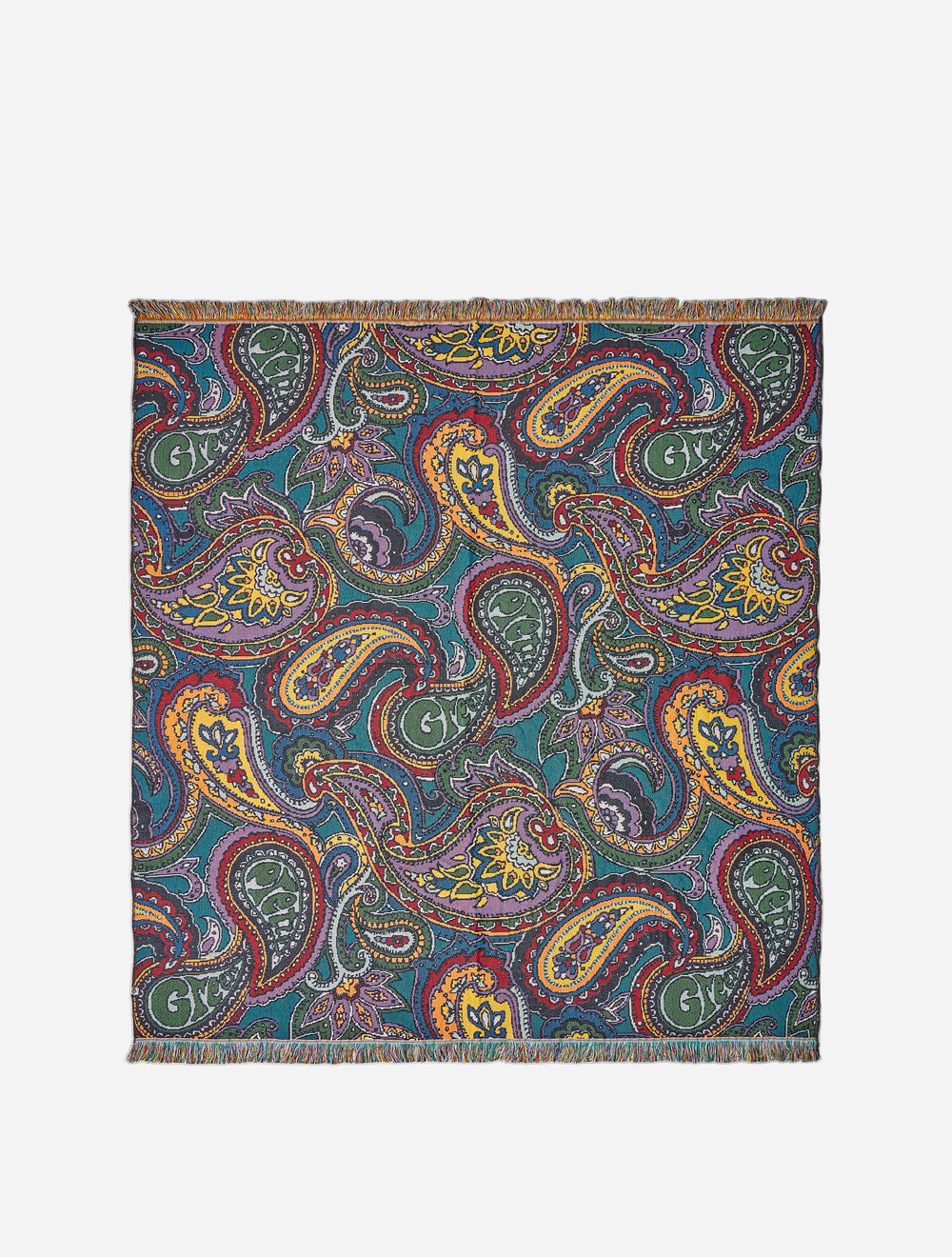 Multi House Paisley Blanket