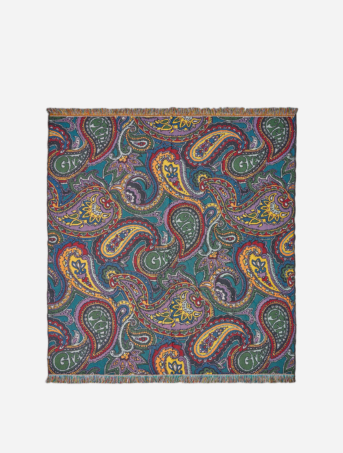 Multi House Paisley Blanket