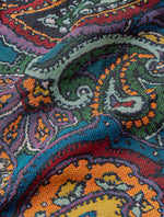 Multi House Paisley Blanket