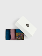 Multi 15th Anniversary Paisley Boxers