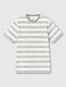 Grey Eclipse Paisley Stripe T-Shirt