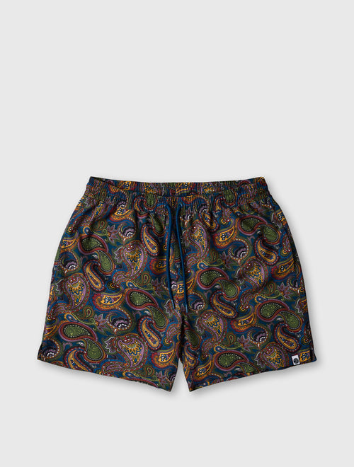 Multi House Paisley Swim Shorts