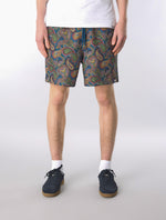 Multi House Paisley Swim Shorts